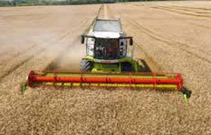 Mähdrescher Claas